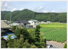 ワイヤークラフトとは ワイヤークラフトの歴史　ワイヤークラフトの作り方　7月 ワークショップ開催　信州,東信,長野県の皆さんへ