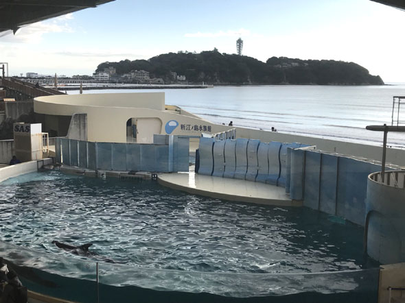 神奈川県,茅ヶ崎市,鎌倉市,藤沢市,湘南,写真